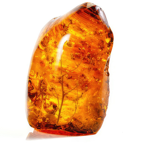 Nước Hoa Mùi Amber Hổ Phách