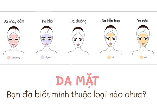 cac cach phan biet loai da