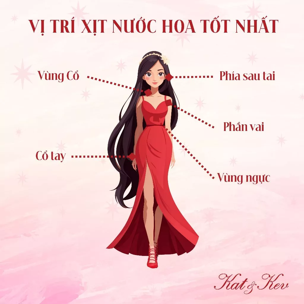 vị trí xịt nước hoa cho nữ